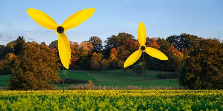 Où acheter une éolienne domestique ?